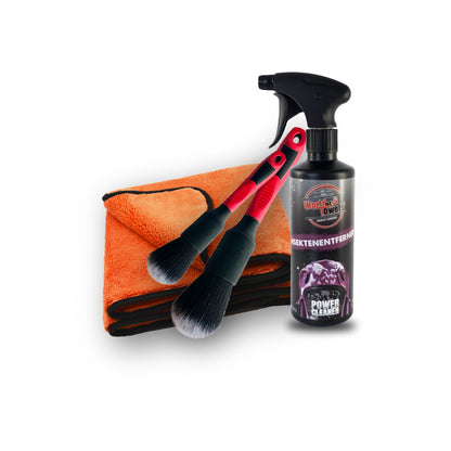 Dry&Clean Box - Trockentuch Insektenentferner Pinsel